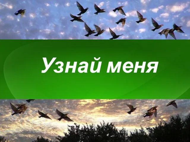 Узнай меня