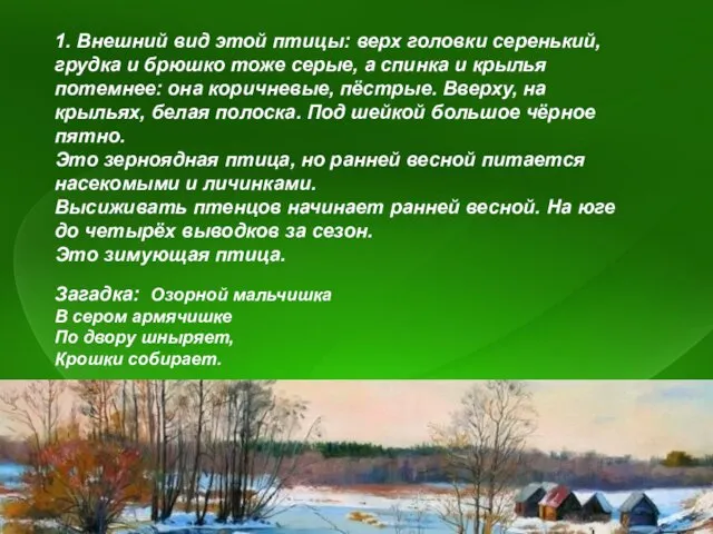 1. Внешний вид этой птицы: верх головки серенький, грудка и