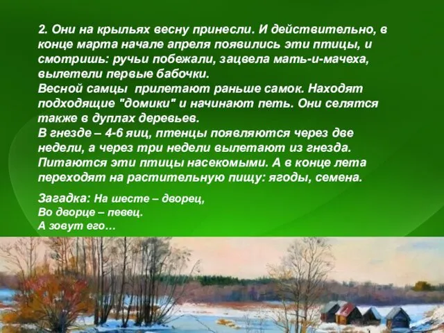 2. Они на крыльях весну принесли. И действительно, в конце