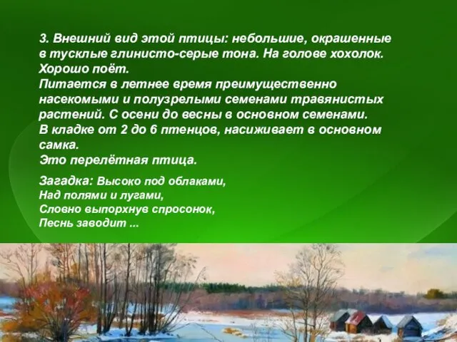 3. Внешний вид этой птицы: небольшие, окрашенные в тусклые глинисто-серые