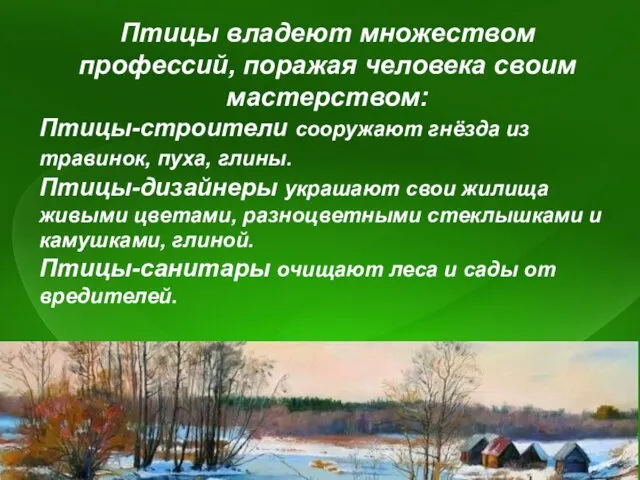 Птицы владеют множеством профессий, поражая человека своим мастерством: Птицы-строители сооружают