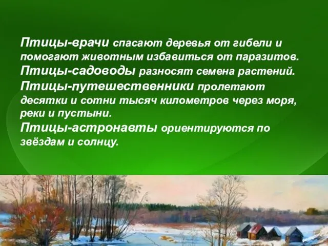 Птицы-врачи спасают деревья от гибели и помогают животным избавиться от