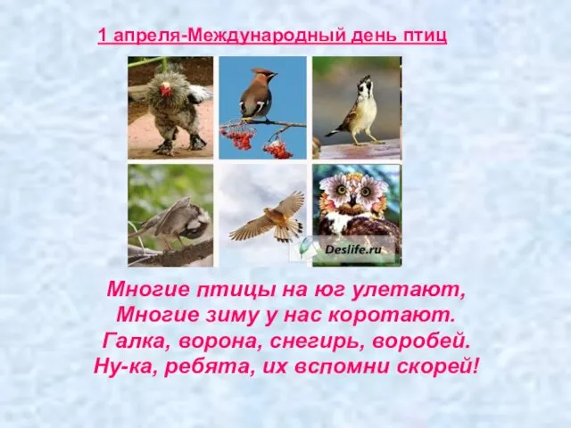 Многие птицы на юг улетают, Многие зиму у нас коротают.