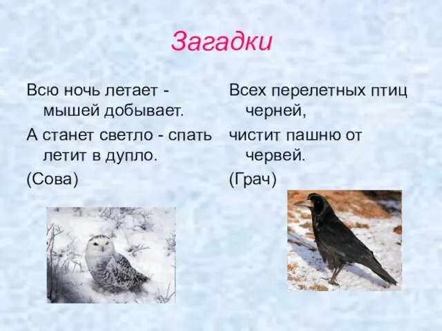 Загадки Всю ночь летает - мышей добывает. А станет светло