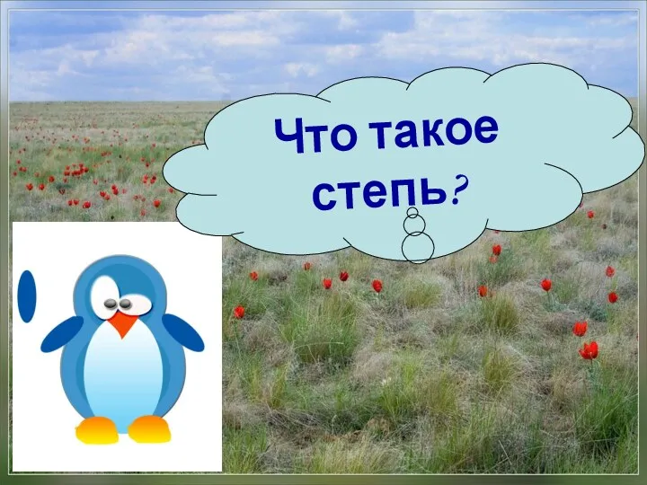 Что такое степь?