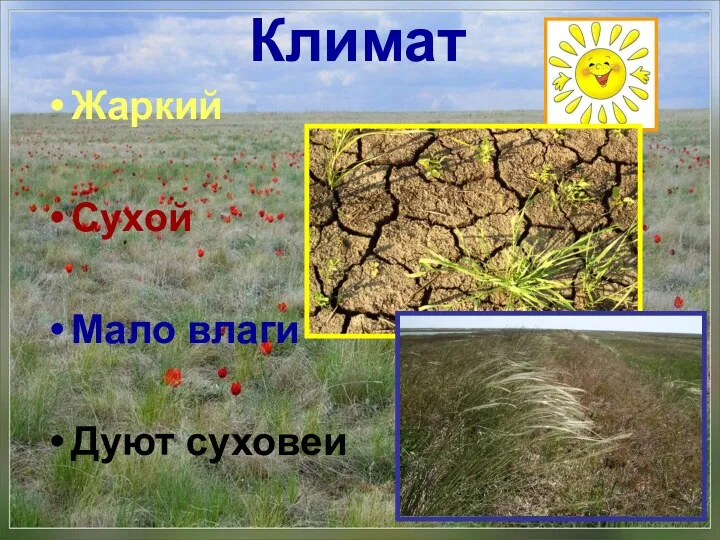 Климат Жаркий Сухой Мало влаги Дуют суховеи