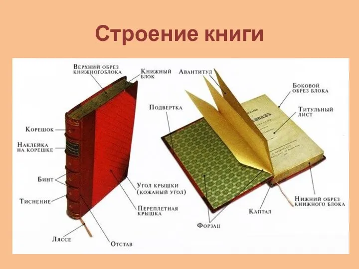 Строение книги