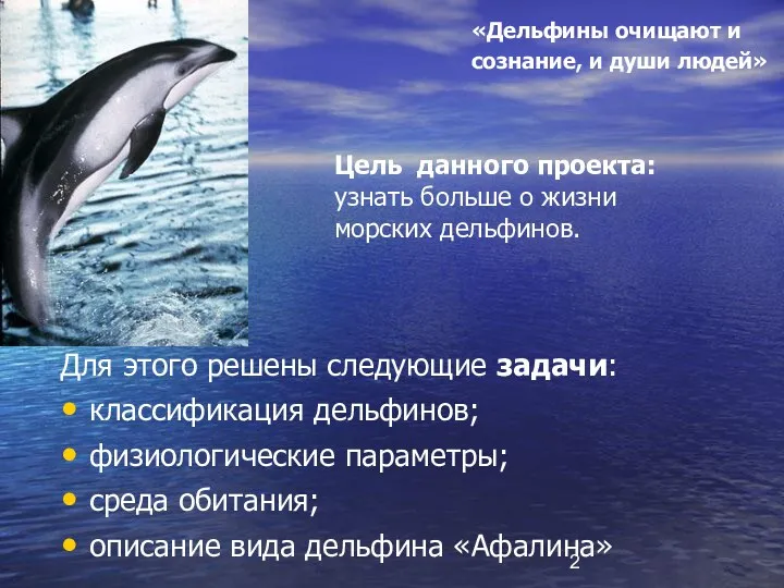 Цель данного проекта: узнать больше о жизни морских дельфинов. Для