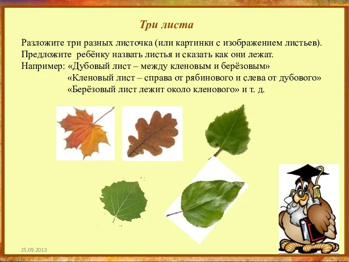 Три листа Разложите три разных листочка (или картинки с изображением