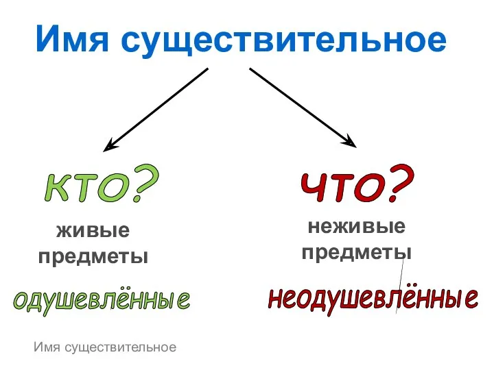 что? кто? неживые предметы живые предметы неодушевлённые одушевлённые Имя существительное Имя существительное