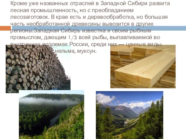Кроме уже названных отраслей в Западной Сибири развита лесная промышленность,