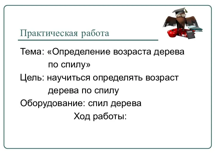 Практическая работа Тема: «Определение возраста дерева по спилу» Цель: научиться