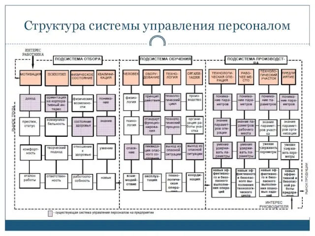 Структура системы управления персоналом