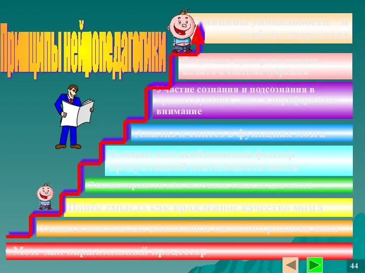 Мозг как параллельный процессор Поиск смысла как врождённое качество мозга Закономерности как источник