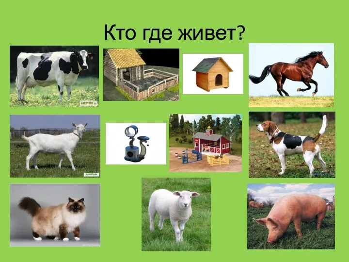 Кто где живет?