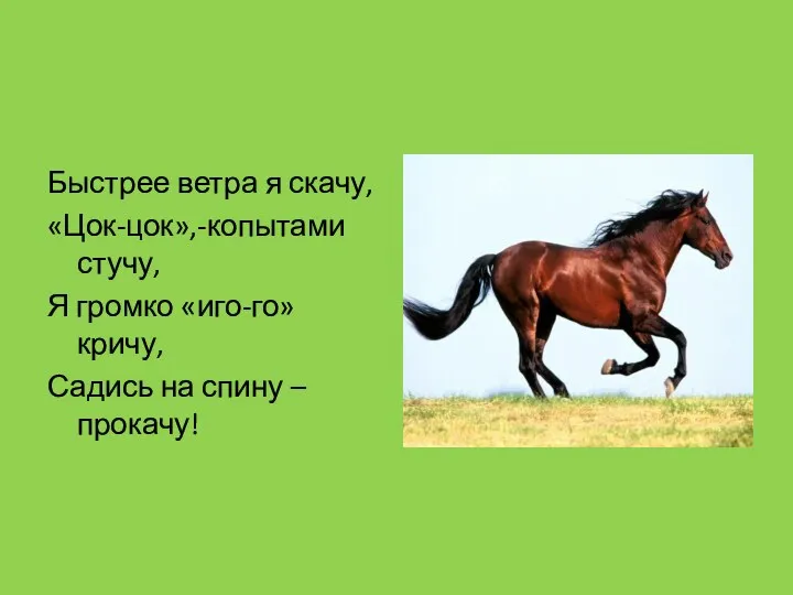 Быстрее ветра я скачу, «Цок-цок»,-копытами стучу, Я громко «иго-го» кричу, Садись на спину – прокачу!