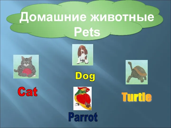Домашние животные Pets Turtle Cat Dog Parrot