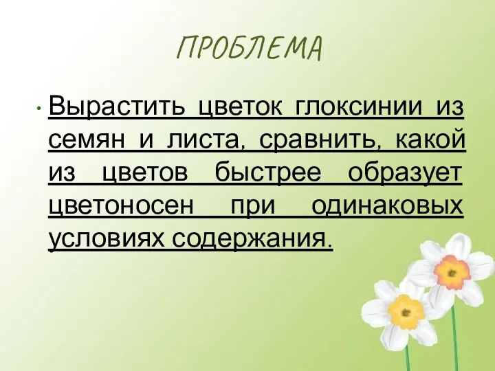 ПРОБЛЕМА Вырастить цветок глоксинии из семян и листа, сравнить, какой