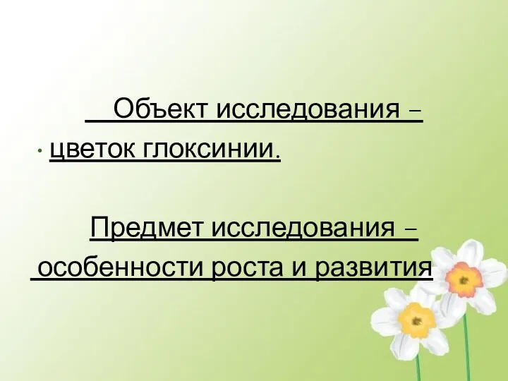 Объект исследования – цветок глоксинии. Предмет исследования – особенности роста и развития