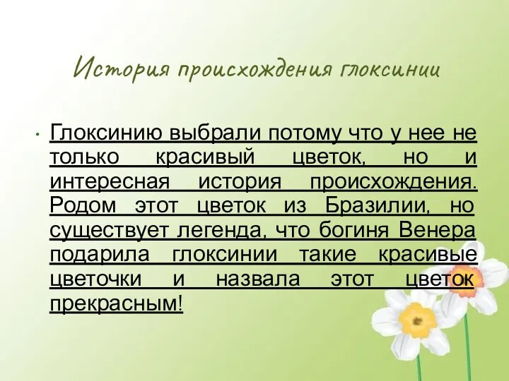 История происхождения глоксинии Глоксинию выбрали потому что у нее не