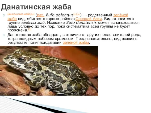 Данатинская жаба][3] (лат. Bufo oblongus[1][2]) — родственный зелёной жабе вид,