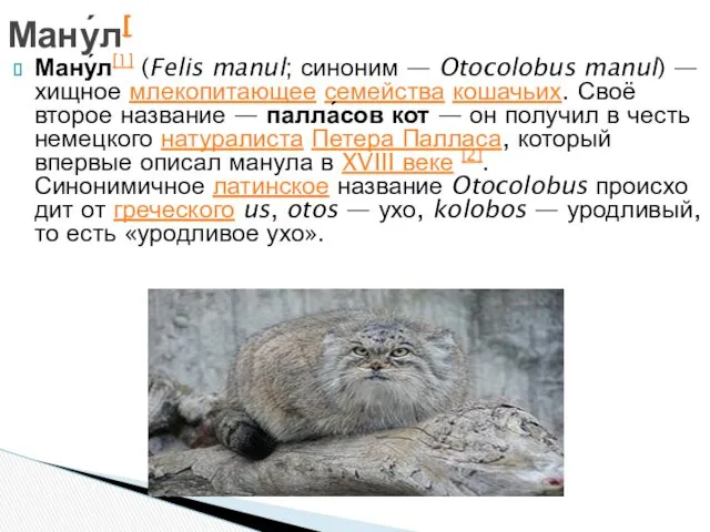 Ману́л[1] (Felis manul; синоним — Otocolobus manul) — хищное млекопитающее