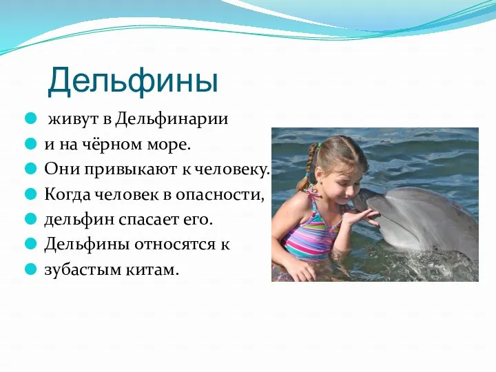 Дельфины живут в Дельфинарии и на чёрном море. Они привыкают