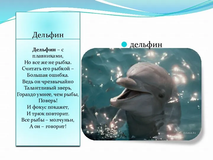 Дельфин дельфин Дельфин – с плавниками, Но все же не