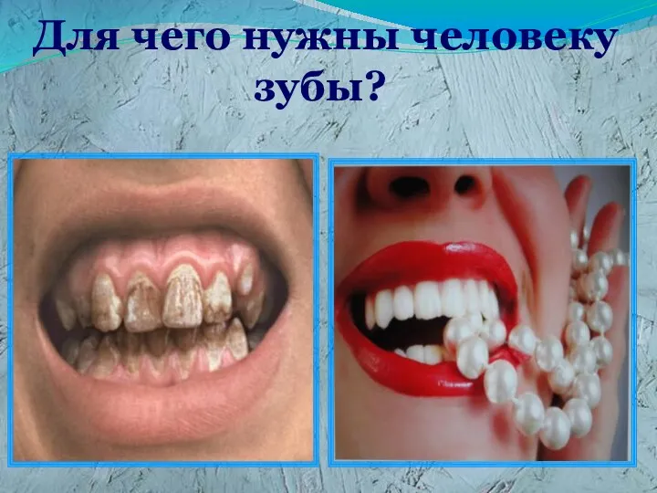 Для чего нужны человеку зубы?
