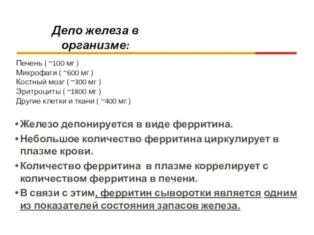 Депо железа в организме: Печень ( ~100 мг ) Микрофаги