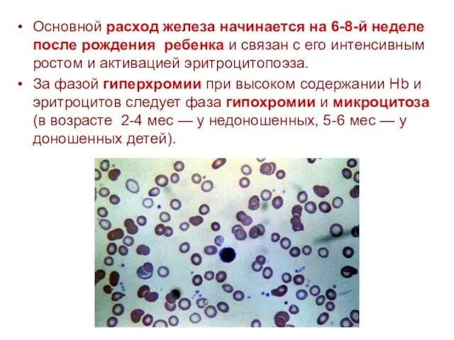 Основной расход железа начинается на 6-8-й неделе после рождения ребенка