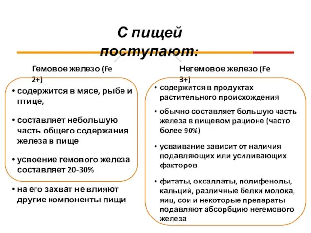 С пищей поступают: содержится в мясе, рыбе и птице, составляет