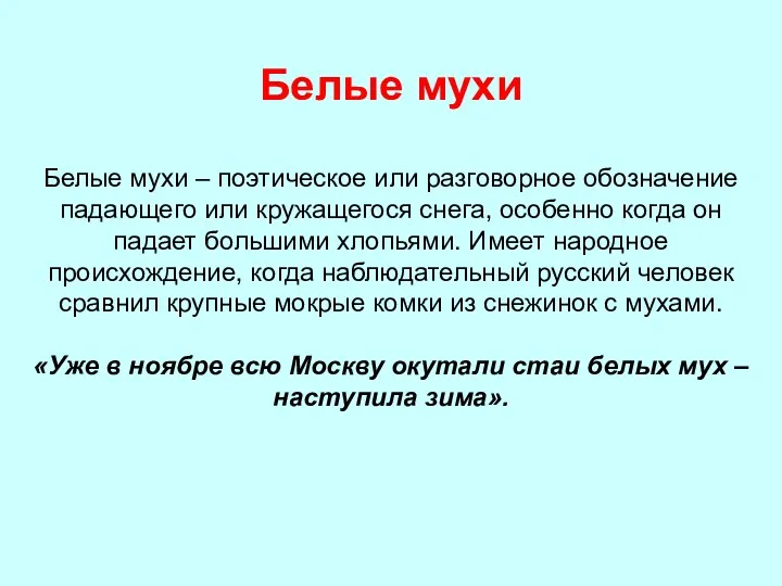 Белые мухи Белые мухи – поэтическое или разговорное обозначение падающего