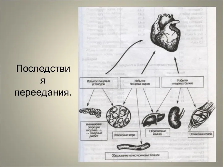 Последствия переедания.