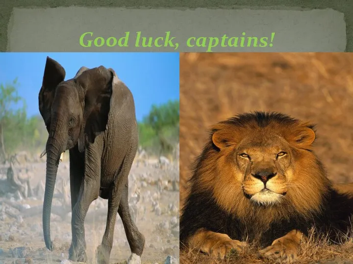 Good luck, captains!