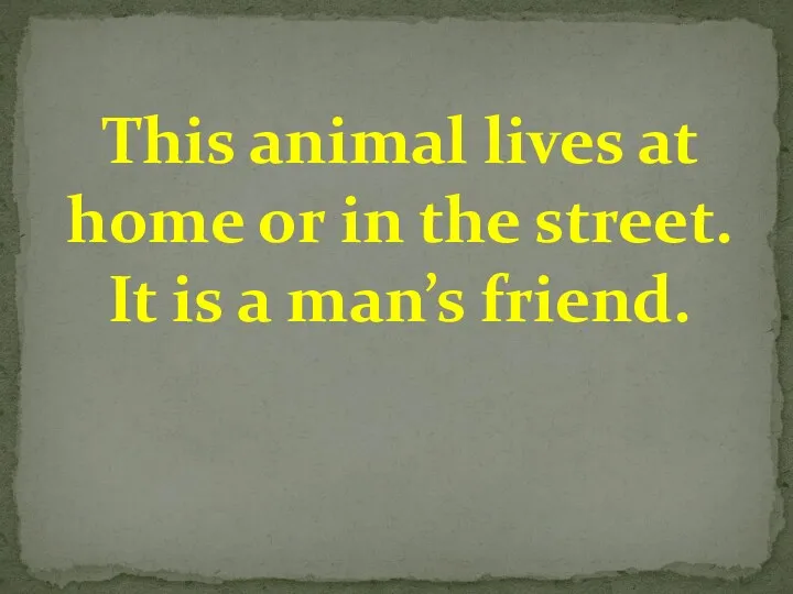 This animal lives at home or in the street. It is a man’s friend.