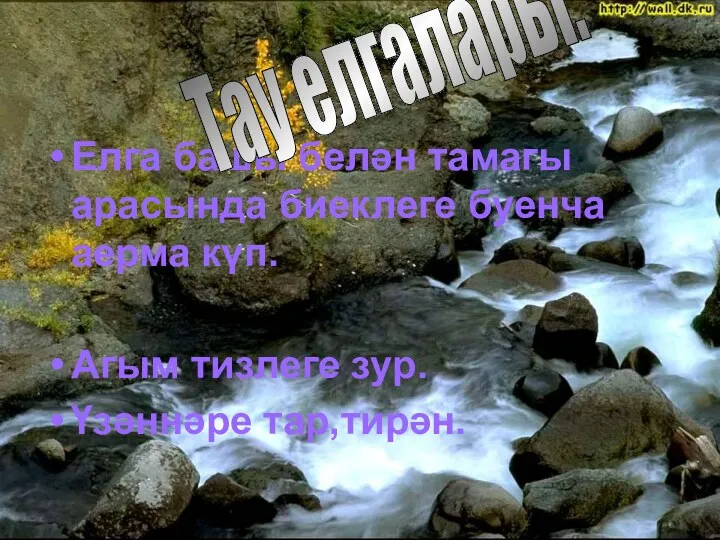 Елга башы белән тамагы арасында биеклеге буенча аерма күп. Агым тизлеге зур. Үзәннәре тар,тирән. Тау елгалары.