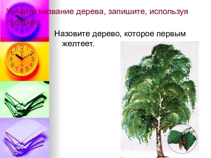 Узнайте название дерева, запишите, используя суффикс. Назовите дерево, которое первым желтеет.