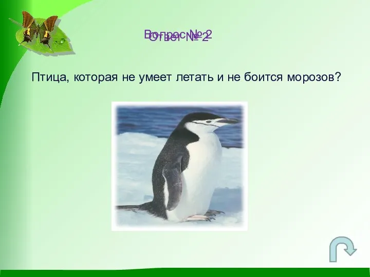 Вопрос № 2 Птица, которая не умеет летать и не боится морозов? ? Ответ № 2