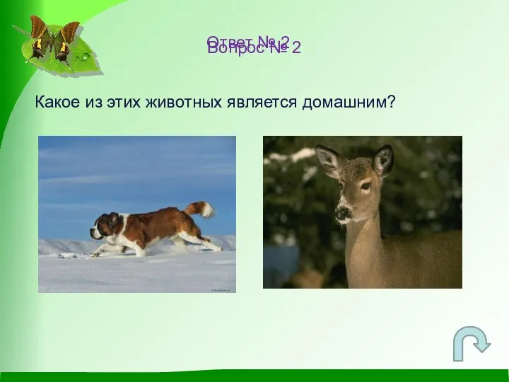 Вопрос № 2 Какое из этих животных является домашним? Ответ № 2