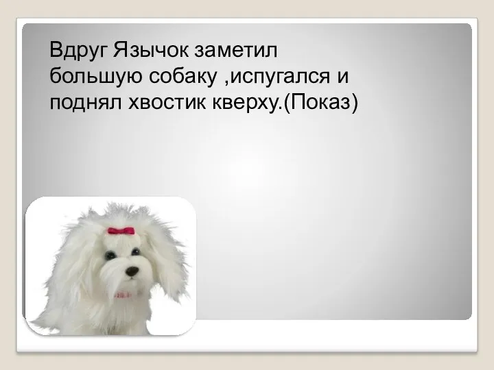 Вдруг Язычок заметил большую собаку ,испугался и поднял хвостик кверху.(Показ)