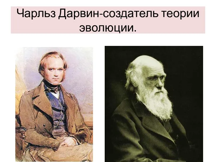 Чарльз Дарвин-создатель теории эволюции.
