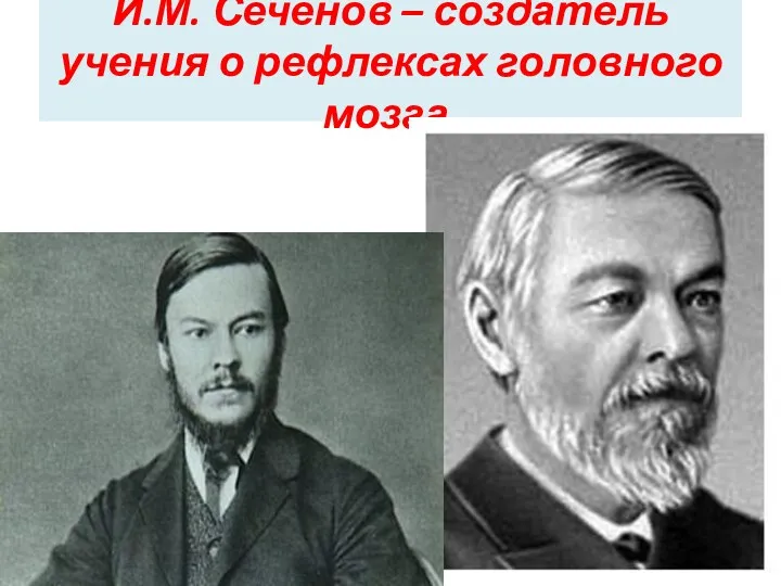 И.М. Сеченов – создатель учения о рефлексах головного мозга.