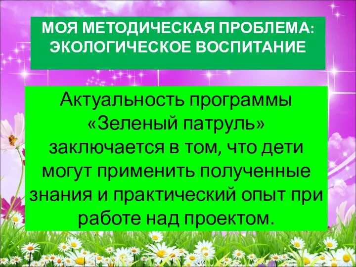 МОЯ МЕТОДИЧЕСКАЯ ПРОБЛЕМА: ЭКОЛОГИЧЕСКОЕ ВОСПИТАНИЕ Актуальность программы «Зеленый патруль» заключается