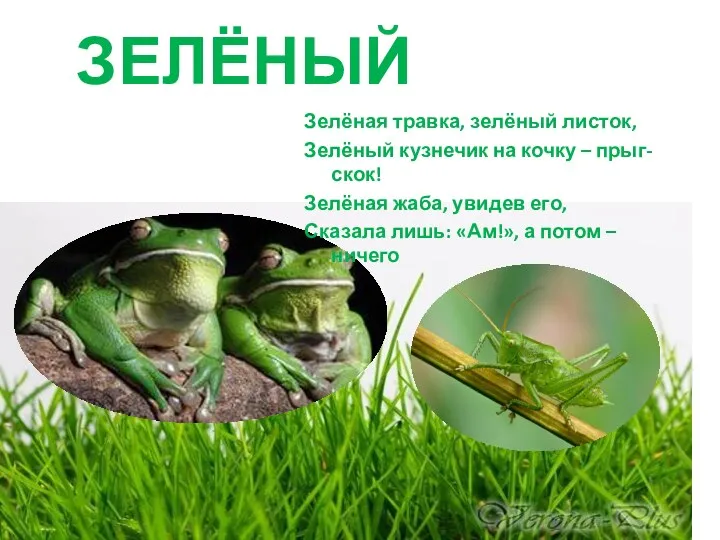 ЗЕЛЁНЫЙ Зелёная травка, зелёный листок, Зелёный кузнечик на кочку –