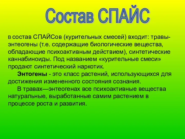 В состав СПАЙСов (курительных смесей) входит: травы-энтеогены (т.е. содержащие биологические вещества, обладающие психоактивным