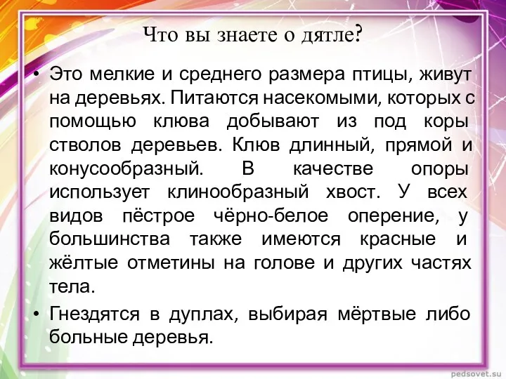 Что вы знаете о дятле? Это мелкие и среднего размера