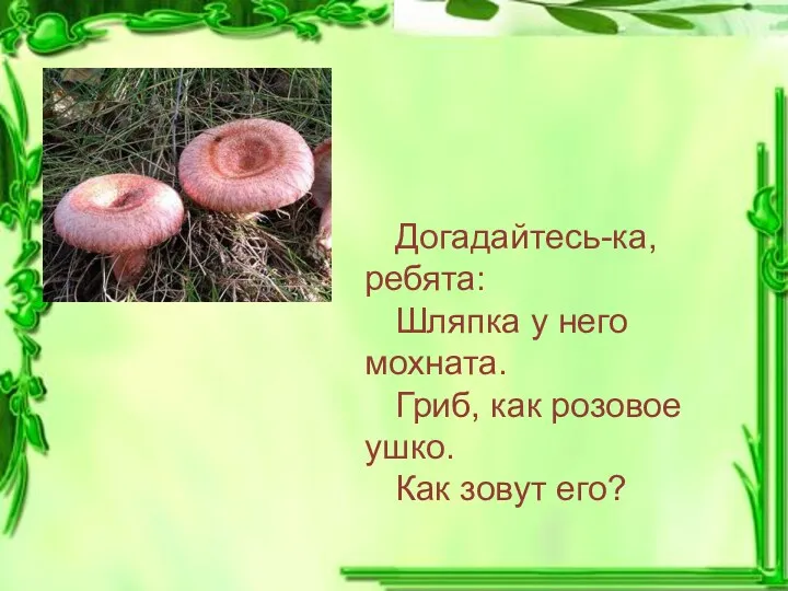 Догадайтесь-ка, ребята: Шляпка у него мохната. Гриб, как розовое ушко. Как зовут его?