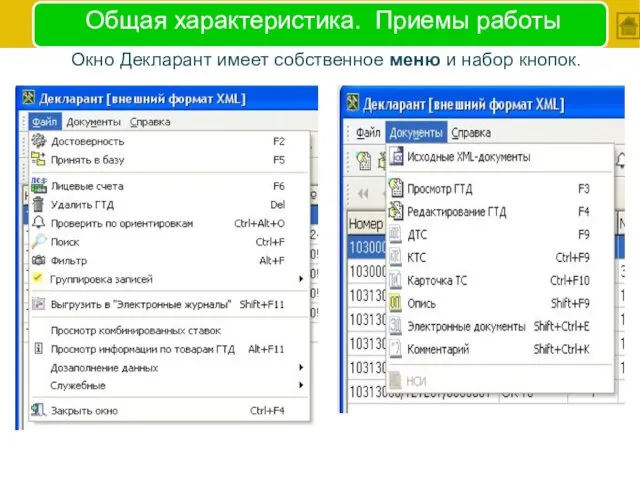 Общая характеристика. Приемы работы Окно Декларант имеет собственное меню и набор кнопок.