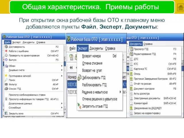 Общая характеристика. Приемы работы При открытии окна рабочей базы ОТО